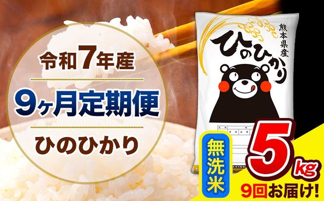 �y�F�{�����F���z�ߘa7�N�Y �Ђ̂Ђ��� �y9��������ցz ������ 5kg (5kg×1��) �v9�񂨓͂� �s���\���ݗ�������o�ׁt �F�{���Y ���� �Ђ� �� ���� ���� �F�{�� ���F��---hn7tei_112500_5kg_mo9_ng_m---