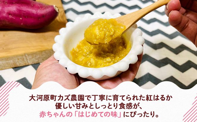 大河原町産 紅はるかペースト（離乳食）10個
