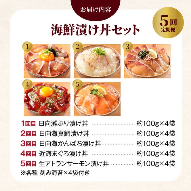 日向灘 お魚の漬け丼 バラエティ 5回 定期便　N019-YE097