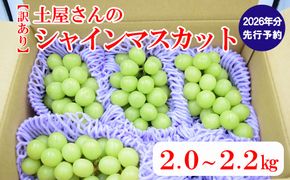 【2026年発送分 先行予約】【訳あり】土屋さんのシャインマスカット（４～６房程度・２ｋｇ～２．２ｋｇ）　訳あり 訳アリ シャイン マスカット フルーツ 果物 くだもの やまなし 山梨 ぶどう ブドウ 葡萄 規格外 産地直送