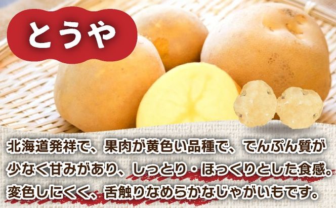 ＜先行予約＞北海道産 じゃがいも3種(とうや/メークイン/北あかり) 約10kg【55250950】 ジャガイモ 馬鈴薯 ポテト 芋 イモ 野菜 農作物 カレー コロッケ 人気 ふじいファーム