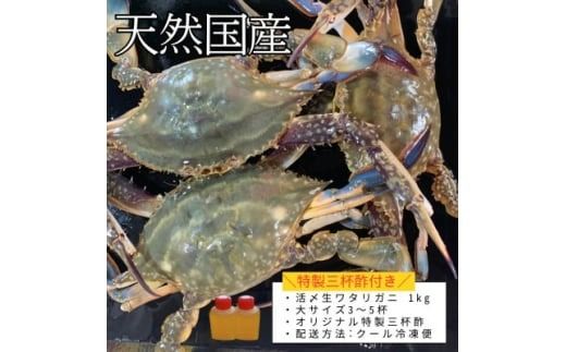 活〆生ワタリガニ(大サイズ)1kg3～5杯 冷凍便＼特製三杯酢付き/