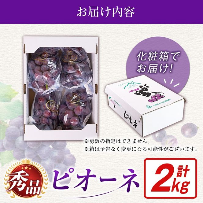 【令和8年発送 先行予約】小林市産 ピオーネ 2kg（ぶどう ブドウ ピオーネ フルーツ 果物 くだもの 先行受付 限定）【令和8年発送 先行予約】小林市産 ピオーネ 2kg（ぶどう ブドウ ピオーネ フルーツ 果物 くだもの 先行受付 限定）