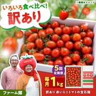 【訳あり】【先行予約】【全5回定期便】訳あり 赤いミニトマトの宝石箱 約1kg×5回 / 旬を長く楽しむ定期便〈2026年12月から配送開始〉 約1キロ 5回定期便 トマト とまと ミックス 詰め合わせ セット 野菜 料理 サラダ マリネ 浅漬け おやつ 弁当 訳アリ 家庭用 ご自宅用 高知県 土佐市【ファーム輝】 [BQBM013]