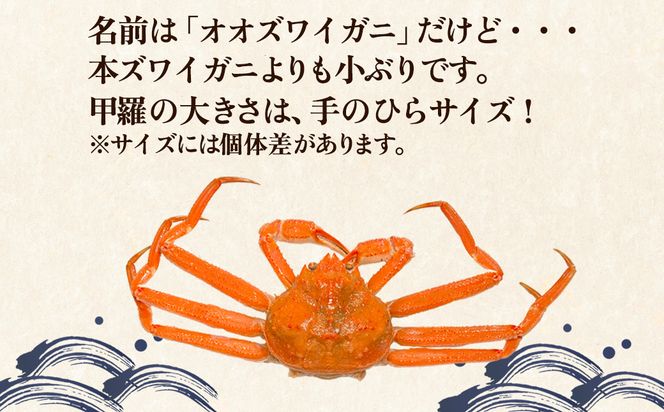 【訳あり】北海道産 ボイルオオズワイガニ 3kg 約10～18尾 かに 蟹 ずわい蟹 