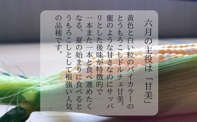 【先行予約】リピーター続出！とうもろこし【ドルチェ甘美】