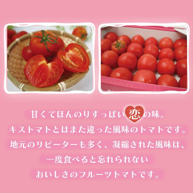 ★数量限定★JA　恋のつぼみ(フルーツトマト2箱)｜トマト フルーツトマト 恋のつぼみ 先行予約 数量限定 野菜 茨城県 行方市(AE-6)