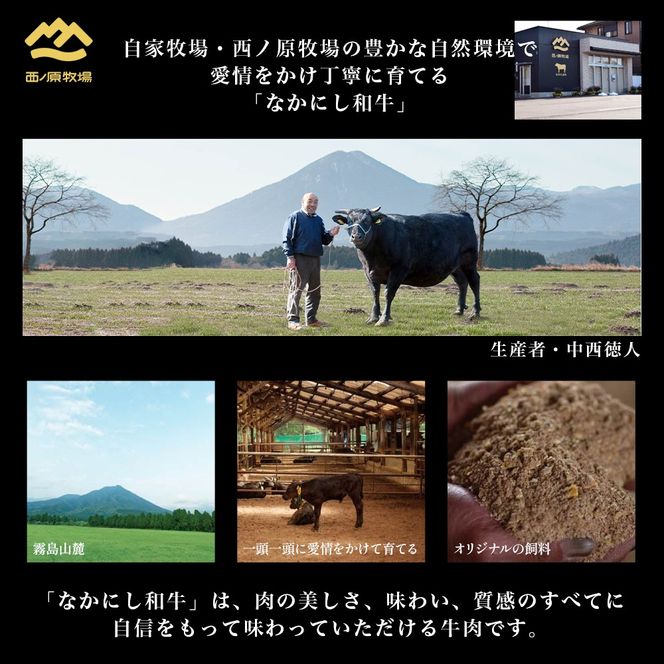 宮崎県西ノ原牧場・なかにし和牛訳あり不揃い切り落とし焼肉 500g（国産 牛肉 肉 宮崎牛 黒毛和牛 お肉 切り落とし なかにし和牛 焼肉 人気 訳あり 不揃い ）