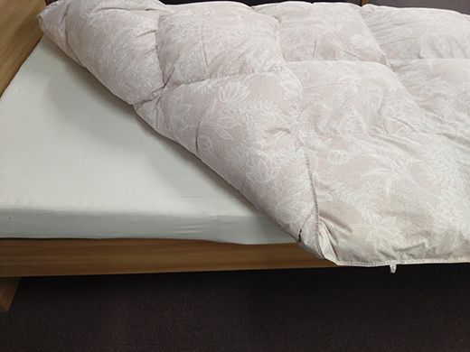 ワタセの羽毛ふとん　シングル　赤【CW15W】