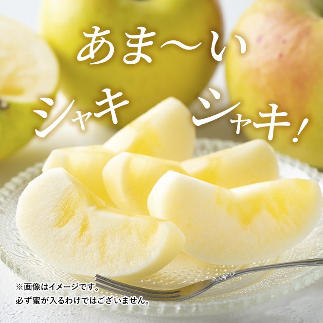 【2026年発送】志賀高原の麓で育った ぐんま名月 秀18玉 約5kg りんご 5kg フルーツ 果物 デザート 長野