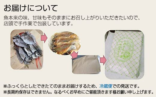 159-2003-02　おおいその干物Aセット（7枚以上）／ 季節で変わる旬な訳あり品 【 ひもの 魚 天日干し 神奈川県 大磯 湘南 特産品 神奈川県 大磯町 自家製干物 贈答品 地魚 大磯産 干物 お歳暮・お中元】