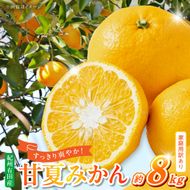 【2027年先行予約】【ご家庭用】【訳あり】紀州有田産　すっきり爽やか　甘夏みかん　８kg_G7362