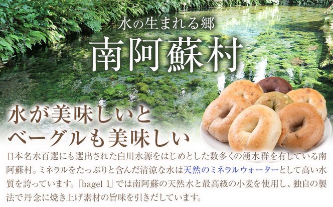 阿蘇の天然水使用 ベーグルセット 7種 10個入 ベーグル・ワン《30日以内に出荷予定(土日祝除く)》熊本県 南阿蘇村 ベーグル パン おやつ 送料無料---sms_fbg1bgset_30d_r7_10500_10p---