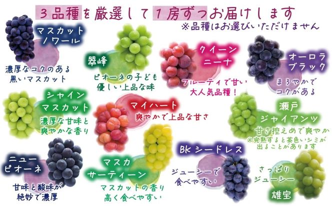 【2026年の先行予約】岡山 花笑み農園 10月おすすめ『ぶどう３種』家庭用（1.8kg） 3M-2L家 / ぶどう 詰め合わせ 食べ比べ シャインマスカット 岡山 真庭市 【hana086-01】