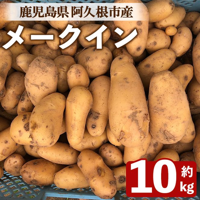 ＜先行予約受付中！2026年6月以降順次発送予定＞じゃがいも メークイン(10kg) 国産 鹿児島県産 阿久根市産 じゃがいも ジャガイモ 芋 ポテト 野菜 期間限定 数量限定 スープ カレー シチュー 常温 常温配送 【慶越農園】akn107-06