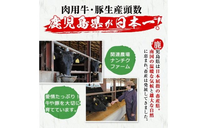 【鹿児島県産黒毛和牛・黒豚】お家でいただく極上 焼肉セット(チーズウインナー＆タレ付き)計1.3kg以上！ b5-202