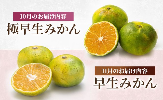 定期便 2回 先行予約 【 桃 白桃 7月頃 梨 9月頃 】白鳳 特製桃源郷錦 約1kg、清流錦梨 約5kg もも モモ なし フルーツ 果物 デザート お楽しみ 2026年発送 配送不可:離島 