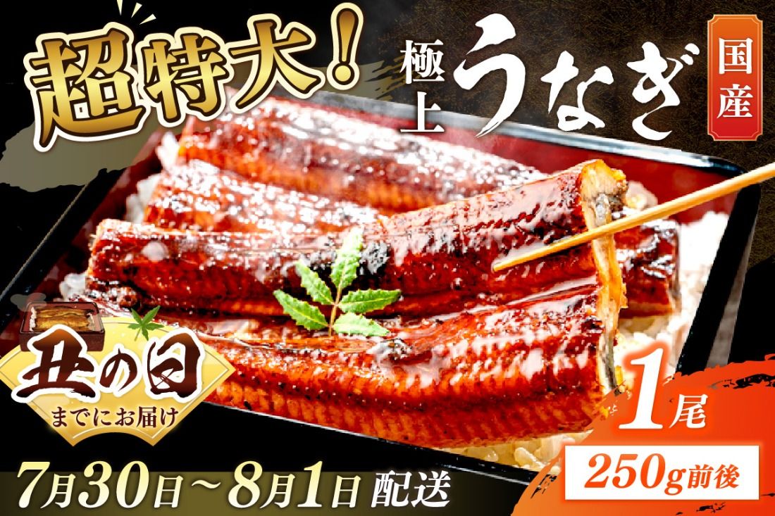[7月30日〜8月1日配送]超特大!極上!国産うなぎ蒲焼 1尾 250g前後 YK00400_02