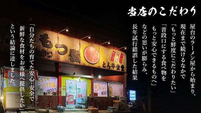 もつ煮とん平食堂のもつ煮【湯煎タイプ】合計 800g ( 400g × 2パック ) モツ もつ煮 モツ煮 豚肉 おいしい 美味しい コラーゲン おつまみ ビールのお供 お酒のあて 酒の肴 おかず 惣菜 時短 グルメ お取り寄せ 詰め合わせ セット 小分け レトルト 湯せん お土産 贈り物 贈答 お祝い ギフト プチギフト 国産 茨城 [CB004us]