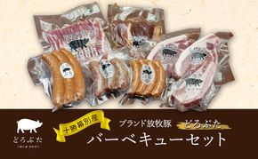 十勝幕別産ブランド放牧豚［どろぶた］バーベキューセット【 北海道 豚肉 ウィンナー ベーコン ジンギスカン とんかつ バラ スライス 惣菜 おかず 】 