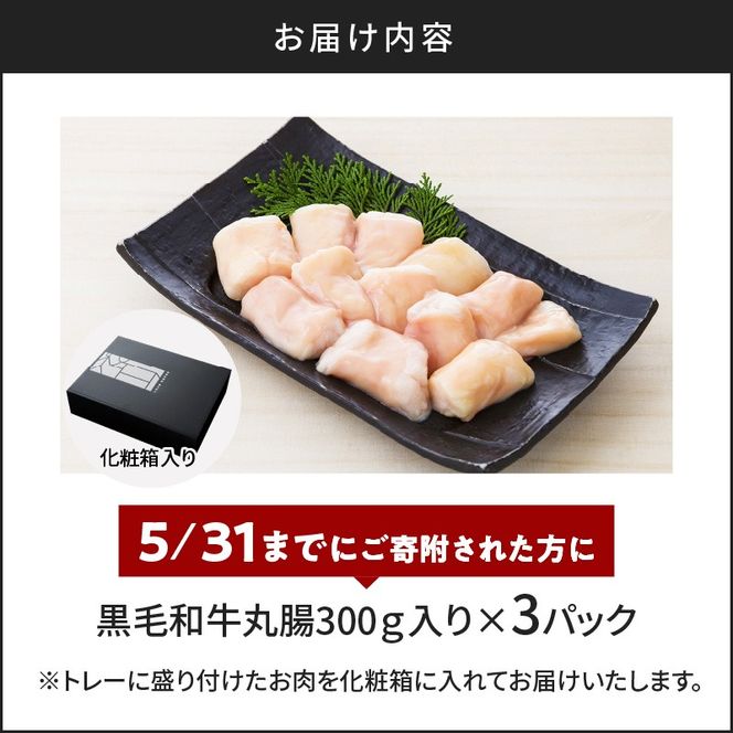 黒毛和牛丸腸（ホルモン）300g入り×2パック　K130-001_cp