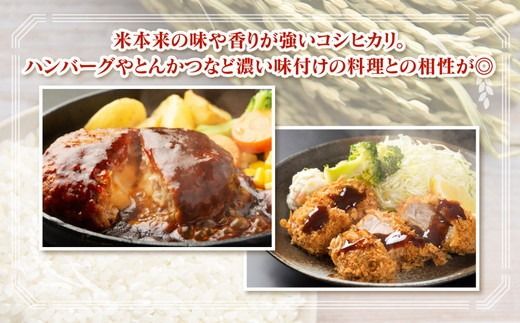 【令和8年度米】【9ヶ月定期便】富山県 うおづ産米「コシヒカリ」15kg（5kg×3袋）（精米）｜9ヶ月定期便 9回 9ヶ月 こしひかり こめ コメ お米 おこめ 白米 精米 雪解け水 香り うまみ あまみ 冷めても 美味しい おにぎり お弁当 高品質 魚津市