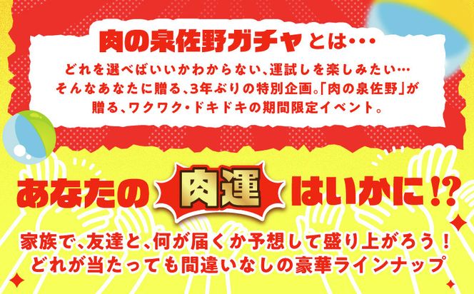 gacha014 【期間限定】肉の泉佐野 ガチャ（寄附10,000円コース）【牛肉 焼肉 牛タン ハラミ カルビ BBQ ハンバーグ お楽しみ】