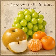 【8・9・12月 全3回】紀州産 シャインマスカットとフルーツの定期便A（シャインマスカット・梨・みかん） 【魚鶴】AN042