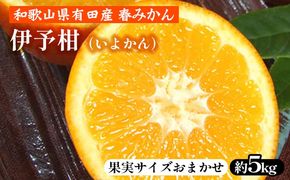 伊予柑（いよかん）［約5kg］和歌山県有田産 春みかん【果実サイズおまかせ】 ｜ 和歌山県産 柑橘 フルーツ 紀伊国屋文左衛門本舗