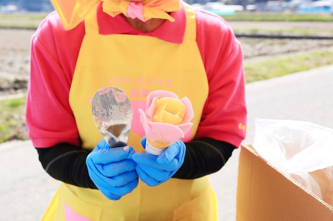 ババヘラ・メロンバラ盛りカップアイス6個セット【進藤冷菓】 ご当地アイス|23_sdr-030601