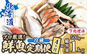 【定期便 4ケ月連続】 お魚の目利きのプロにお任せ！北海道産（国産） 天然 鮮魚 約500g～1kg（釧路の鮮魚セット） 産地直送 冷蔵 冷蔵便 刺身 セット 鮮魚セット 鮮魚ボックス 定期便 魚介類 海鮮 絶品 人気 ヒロセ 北海道 釧路町 釧路超 特産品　121-1262-142-009