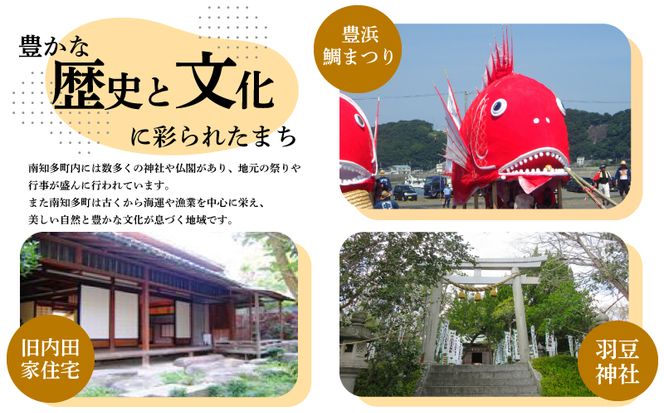 しらす干し 約200g（100g×2パック） 南知多篠島産 大一商店 冷凍 小分けパック 愛知県 南知多町