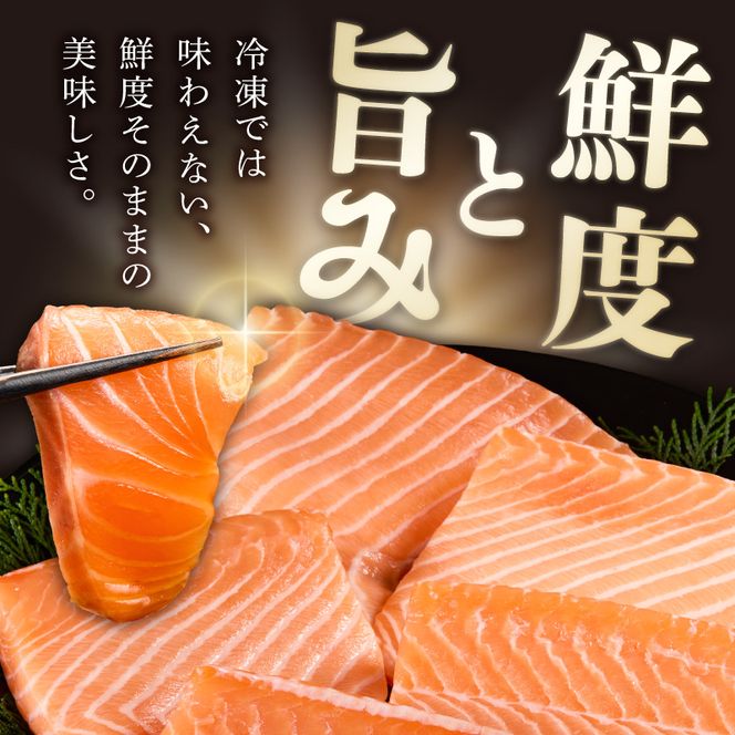 いっちゃんええ【ノンフローズン】生サーモン 全て手作業 半身 約1.8kg_FJ1002
