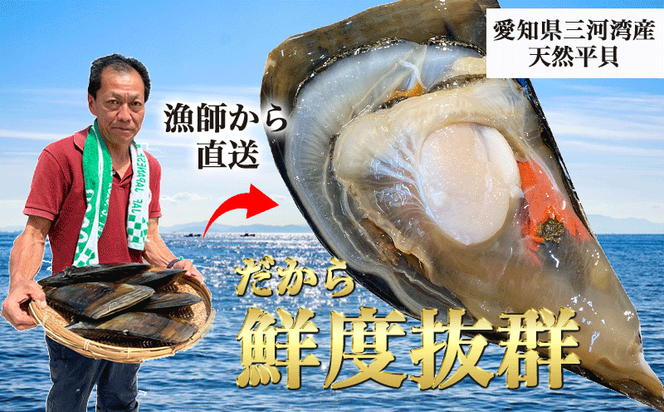 岬だよりの平貝内臓 釣り餌用8袋セット