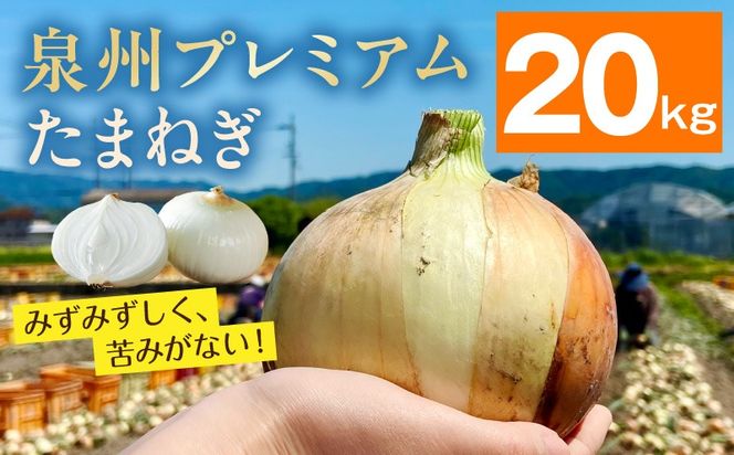 G3682-1 【8/20 受付終了】プレミアムたまねぎ 20kg【泉州 玉ねぎ タマネギ 玉葱 甘い 野菜 国産 オニオン サラダ カレー バーベキュー】