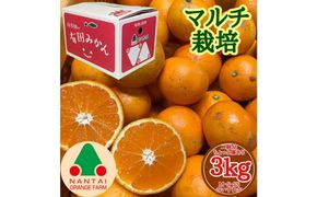 ちょっと 傷あり マルチ栽培 有田 みかん M ~ SS サイズ 3kg 手さげ箱 南泰園 BS670