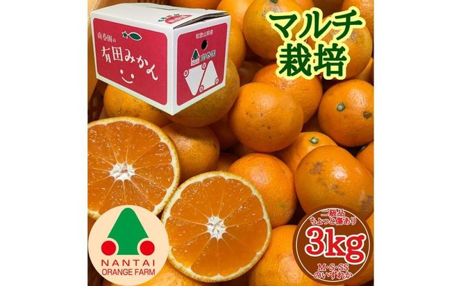 ちょっと 傷あり マルチ栽培 有田 みかん M ~ SS サイズ 3kg 手さげ箱 南泰園 BS670