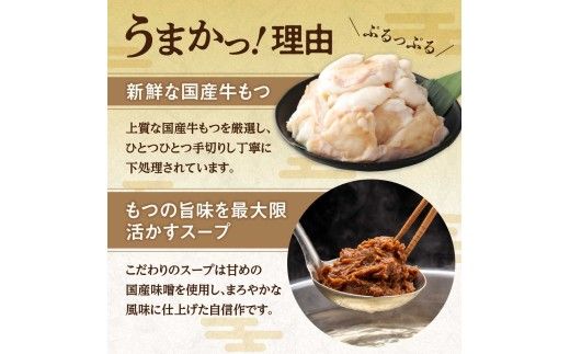 【一週間以内に発送】【ギフト】博多もつ鍋　味噌味（3人前）【海千】_HA0656