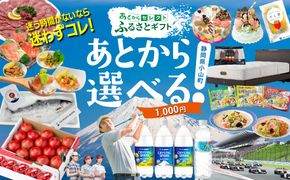 あとからセレクト【ふるさとギフト】1,000円分