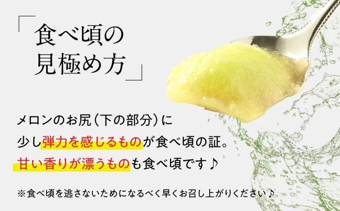 【2025年5月〜発送】【さわやかな味！ 】タカミメロン 2玉 (約 2kg) / メロン 南島原市 / 南島原果物屋 [SCV004]