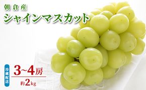 シャインマスカット ぶどう 約2kg 初恵のぶどう園 配送不可 離島 果物類 フルーツ 