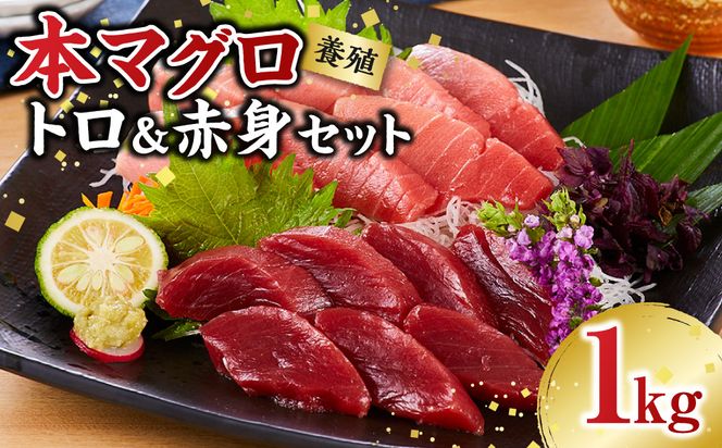 本マグロ（養殖）トロ＆赤身セット 1kg［KS13］ 303446_BA1003
