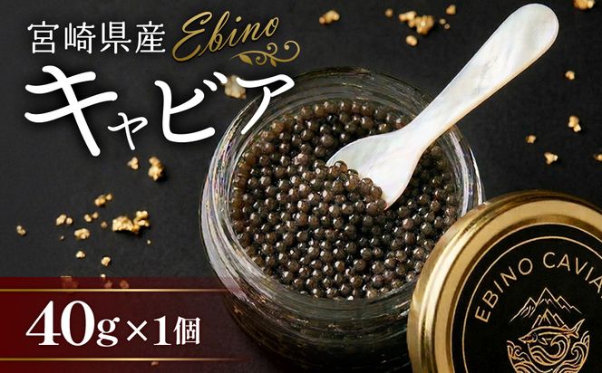 【ふるさと納税】キャビア 国産 40g 冷凍 宮崎県 えびの市産