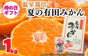 【母の日ギフト】ハウスみかん 温室栽培 夏の有田みかん 1kg 秀品 L M Sサイズのいずれか 和歌山県産 産地直送 【みかんの会】 AX359