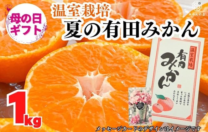 【母の日ギフト】ハウスみかん 温室栽培 夏の有田みかん 1kg 秀品 L M Sサイズのいずれか 和歌山県産 産地直送 【みかんの会】 AX359