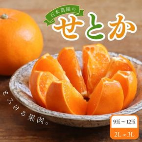 【先行予約】みかん せとか 石本農園の ハウスせとか（2L or 3L）9玉～12玉【2027年2月中旬から下旬頃に順次発送予定】 / せとか みかん ミカン 蜜柑 柑橘 果物 くだもの フルーツ 予約 人気 ジューシー 甘い【mis007B】