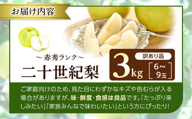 1265.【2026年度発送先行予約】訳あり　二十世紀梨　3kg 313726_CS008