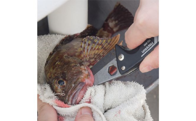 津本式計測マルチ絞め具 272230_CA006