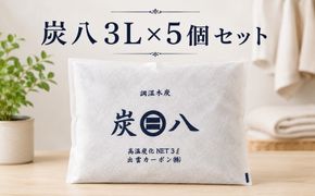 炭八3L×5個セット 322032_FM010