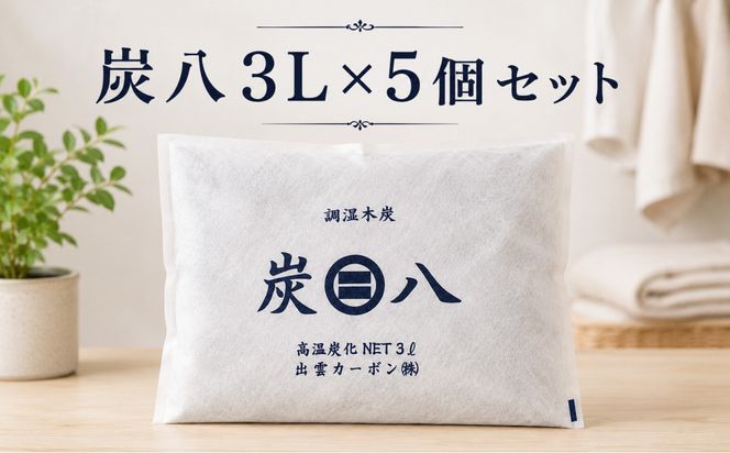炭八3L×5個セット 322032_FM010